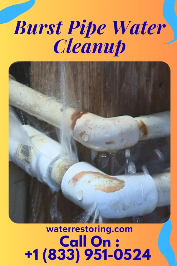 Burst Pipe Water Cleanup in Marshall, MI