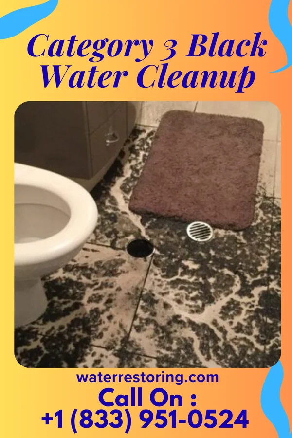 Category 3 Black Water Cleanup in Marshall, MI