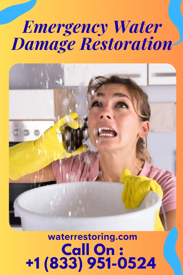 Emergency Water Damage Restoration in Marshall, MI