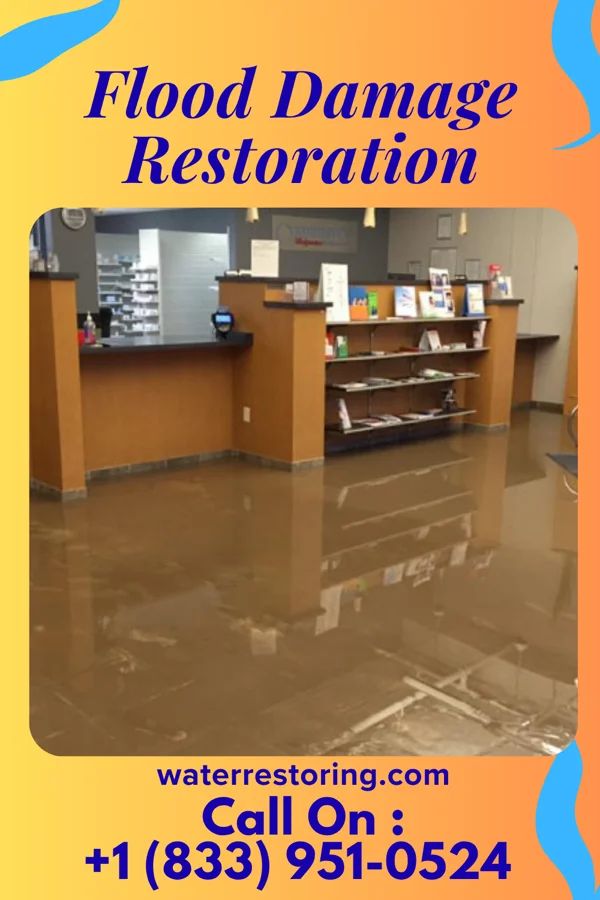Flood Damage Restoration in Marshall, MI
