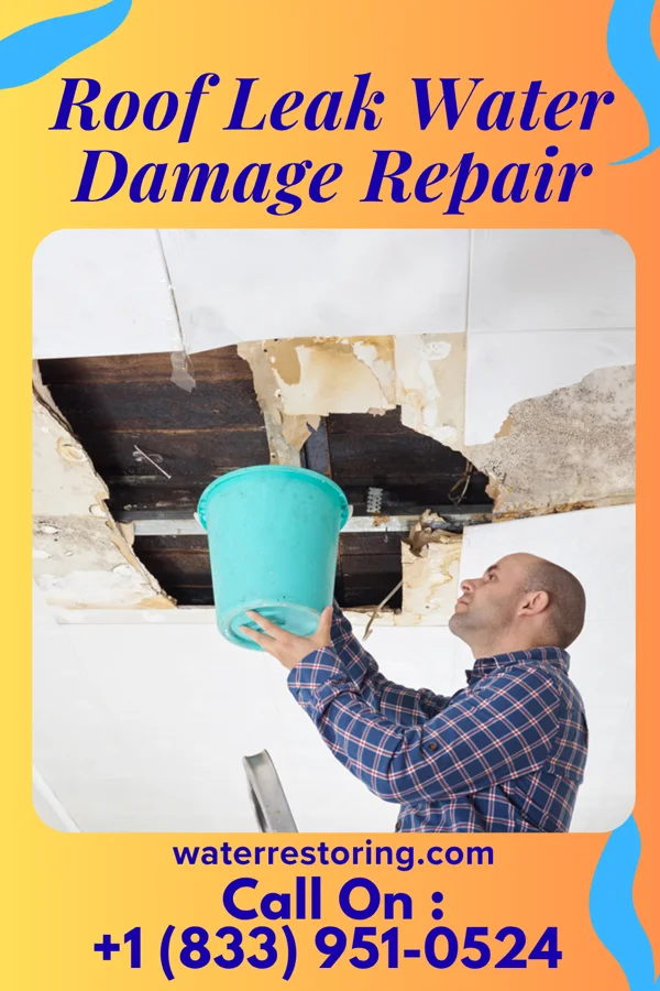 Roof Leak Water Damage Repair in Marshall, MI