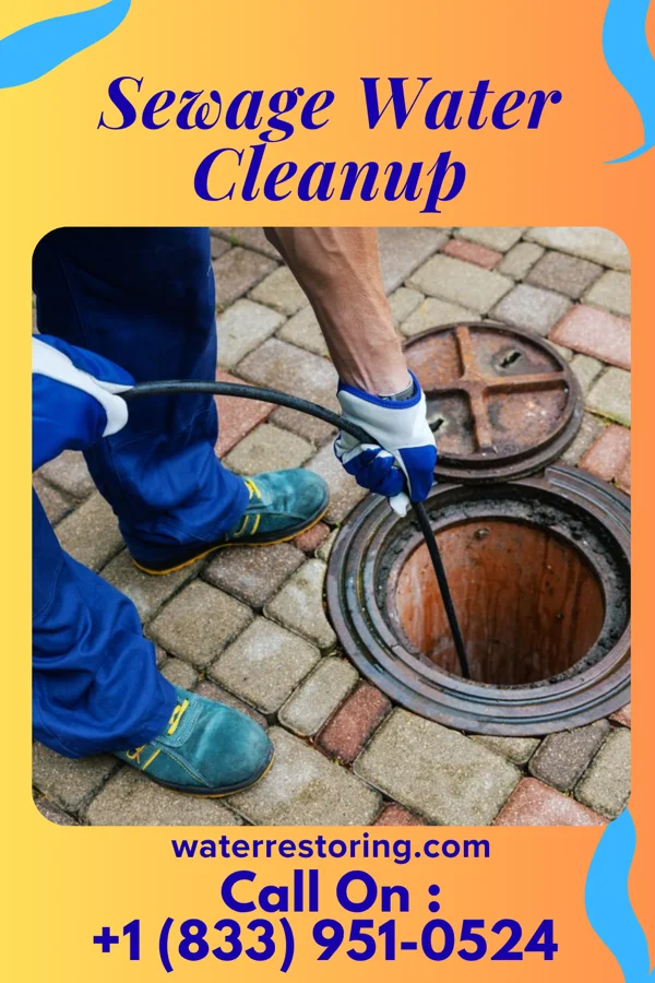 Sewage Water Cleanup in Marshall, MI